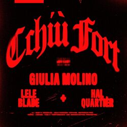Cover of Cchiù Fort'