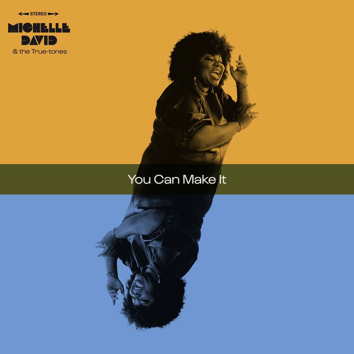 Album cover of You Can Make It