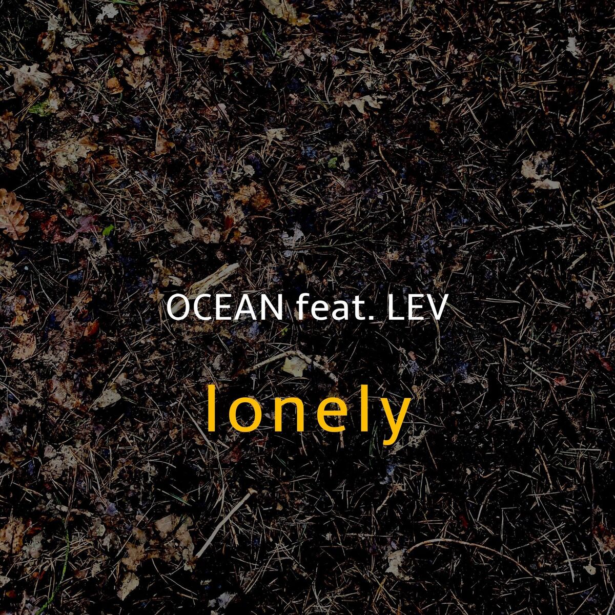 Album cover of Lonely