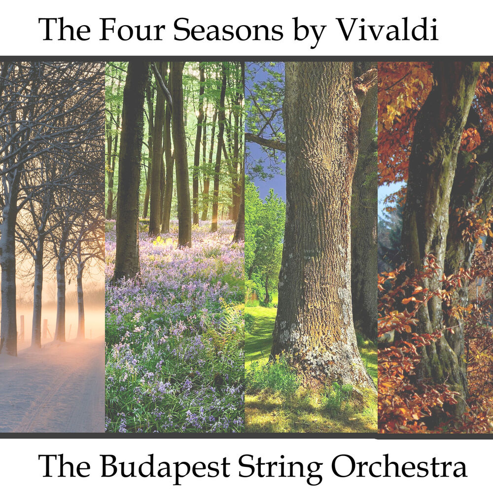Picture of The Four Seasons - A Symphony for Strings