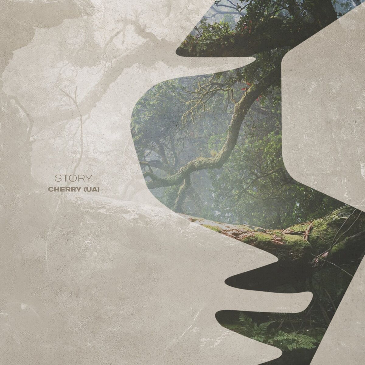 Album cover of Story