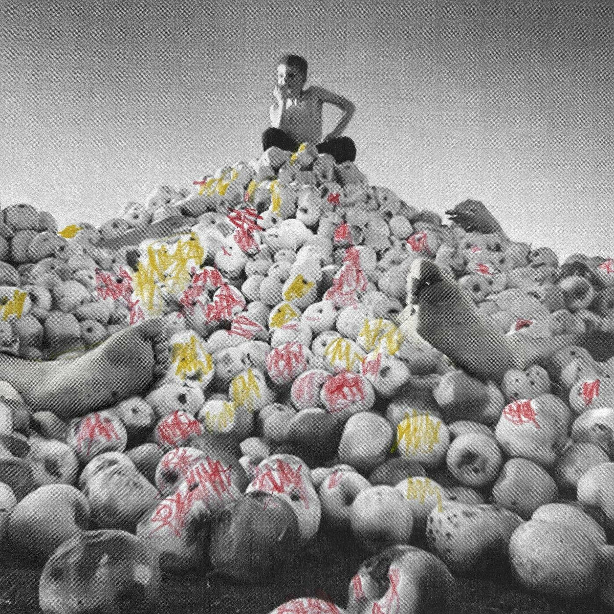Album cover of Яблонный сад