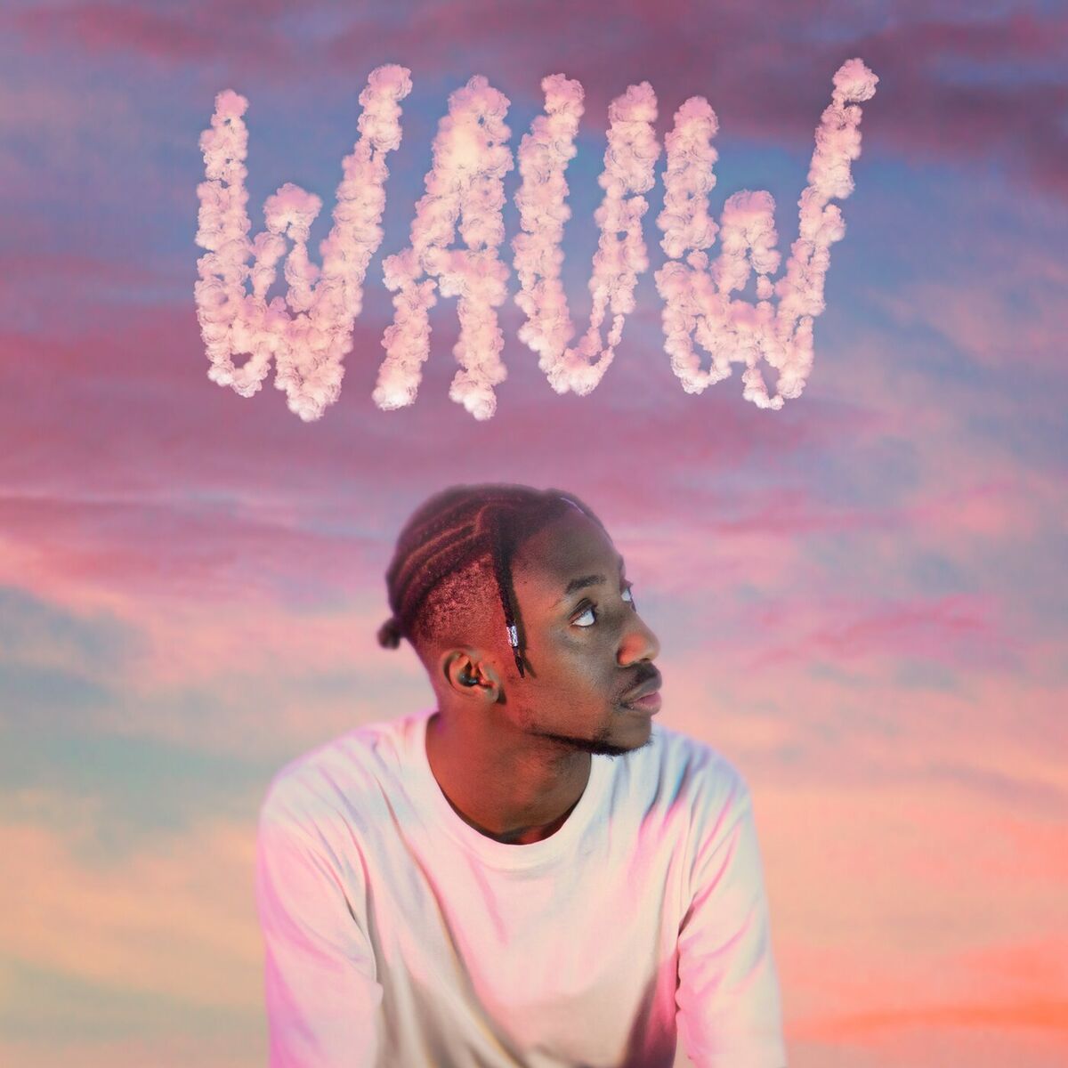 Album cover of Wauw