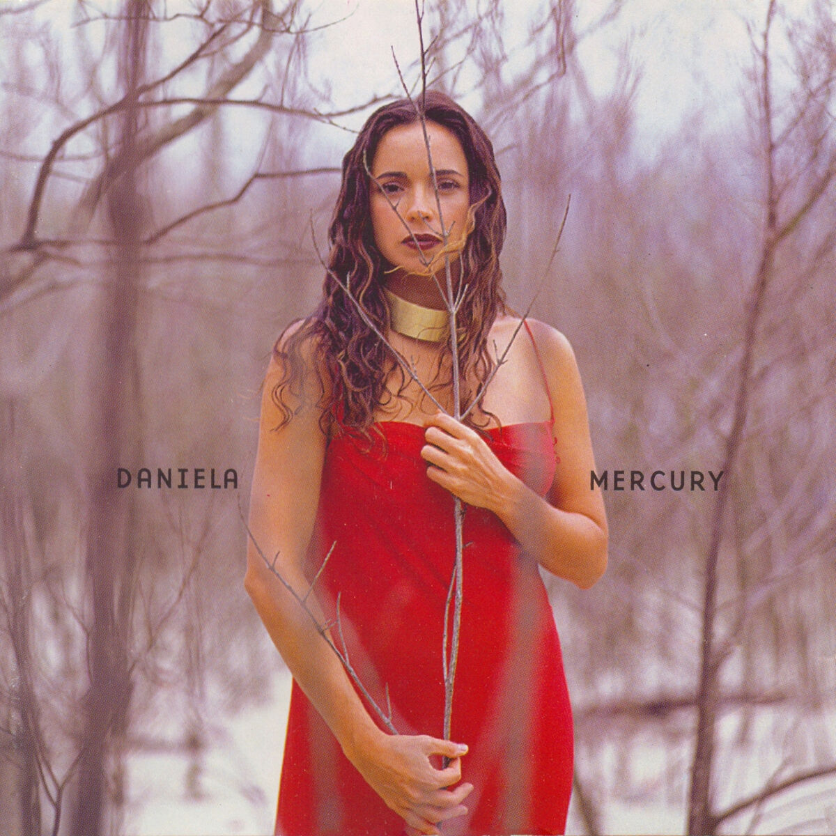 Album cover of Sol Da Liberade