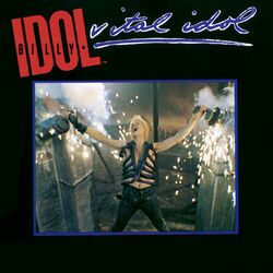 Cover of Vital Idol