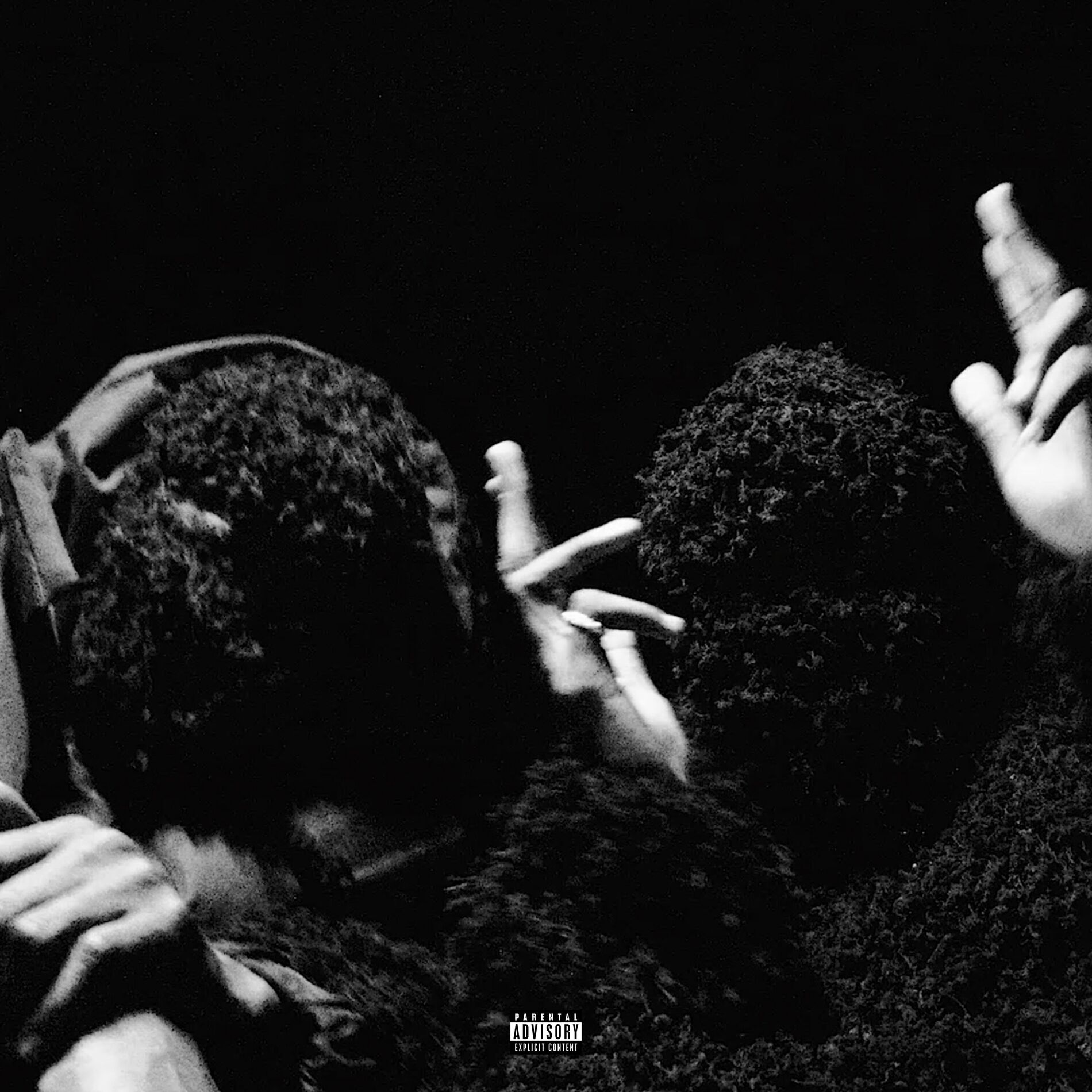 Album cover of scoliosis freestyle