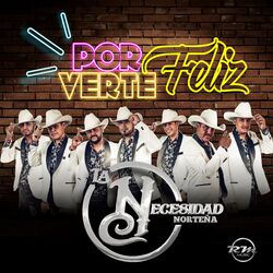 Cover of Por Verte Feliz