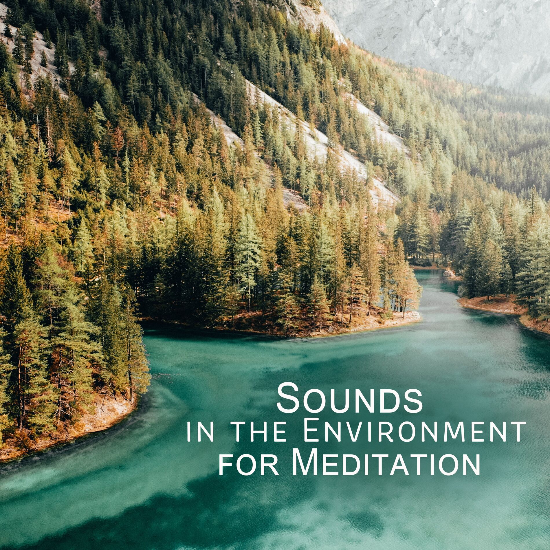 Album cover of Sounds in the Environment for Meditation (Forest Sounds, Ocean Waves, Bubbling Brook, Falling Rain, Crackling Fire)
