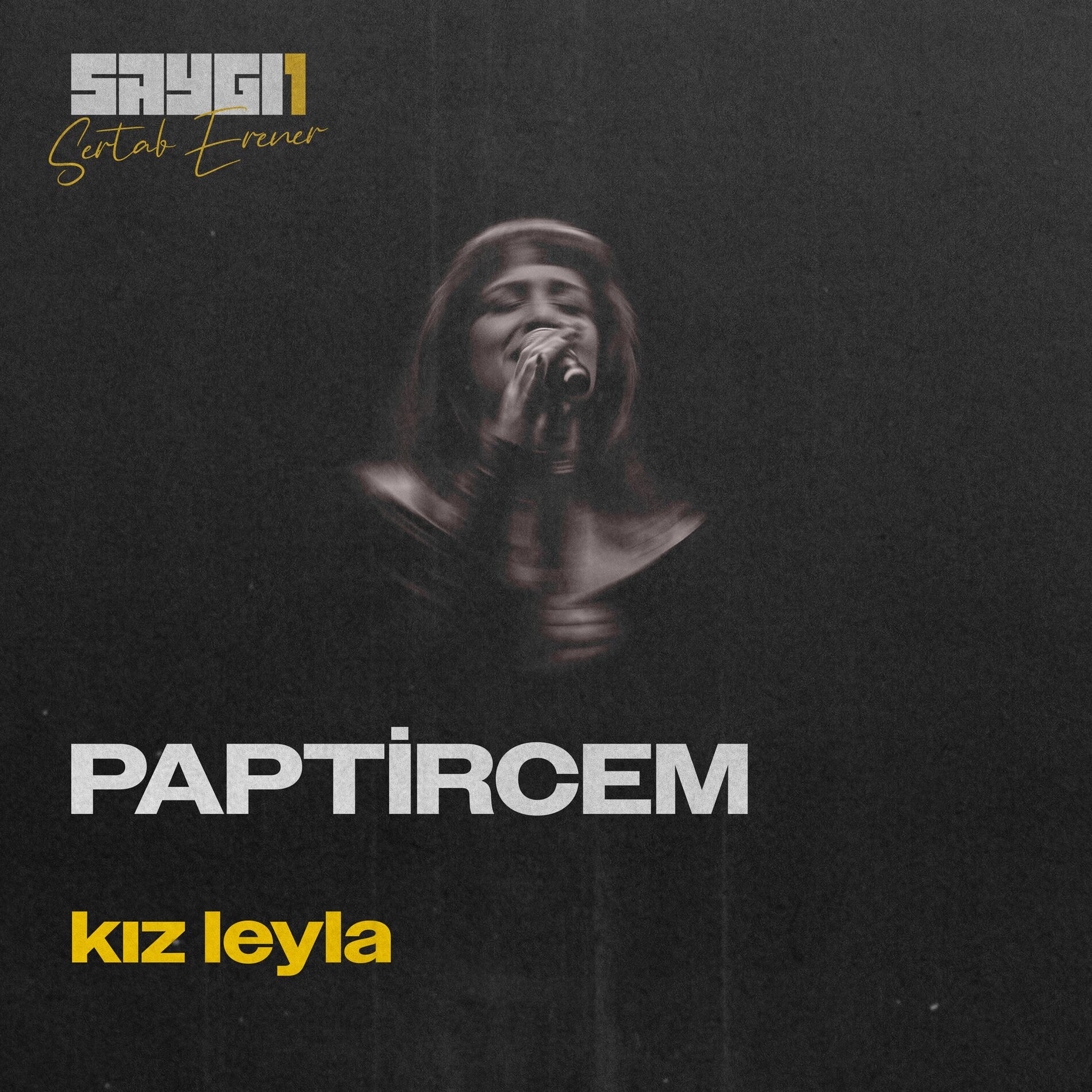 Album cover of Kız Leyla