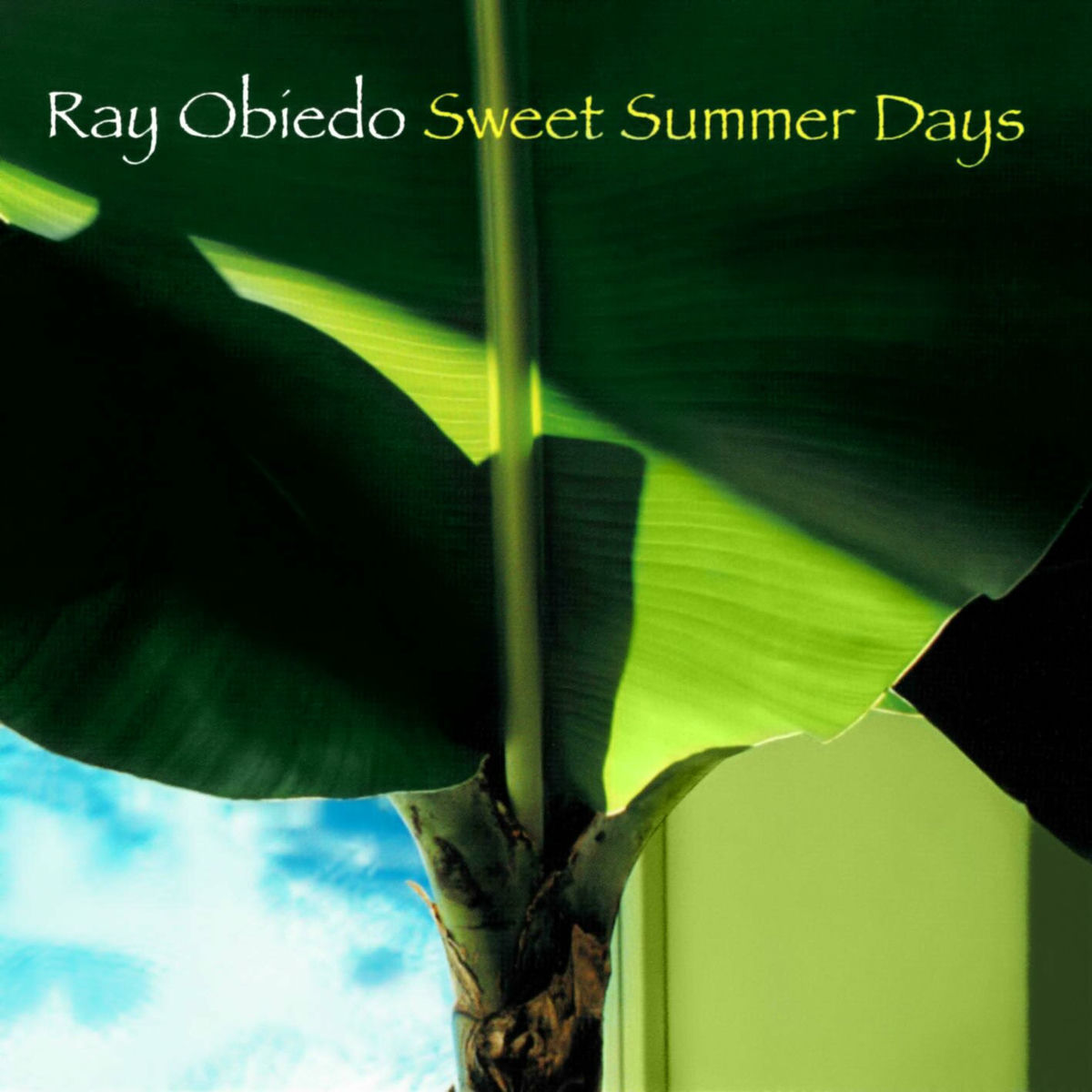 Album cover of Coco