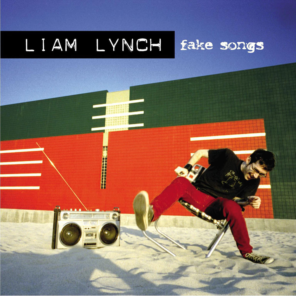liam lynch net worth