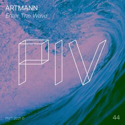 Cover of Enter The Wave