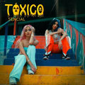 T&oacute;xico