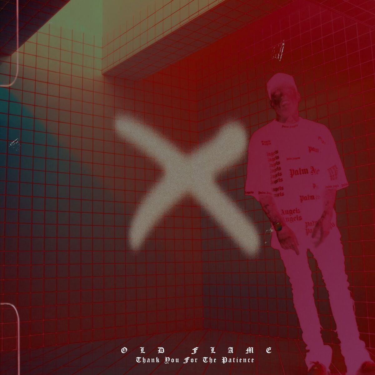 Album cover of Thank You for the Patience
