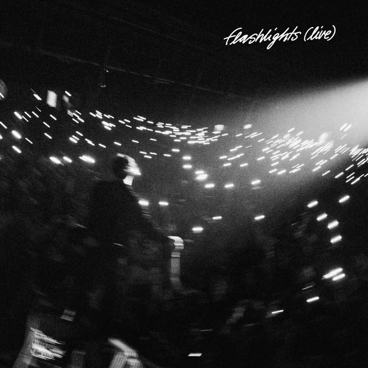 Album cover of Flashlights