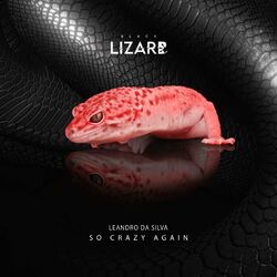 Cover of So Crazy Again