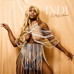 Cover of The Perfect Imbalance