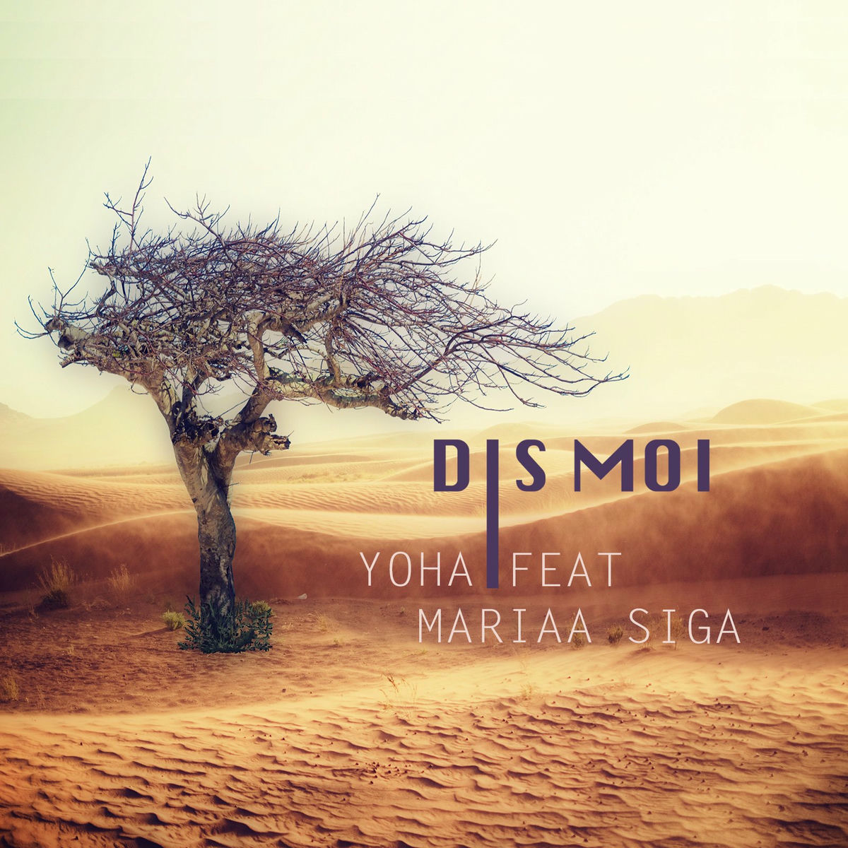 Album cover of Dis moi