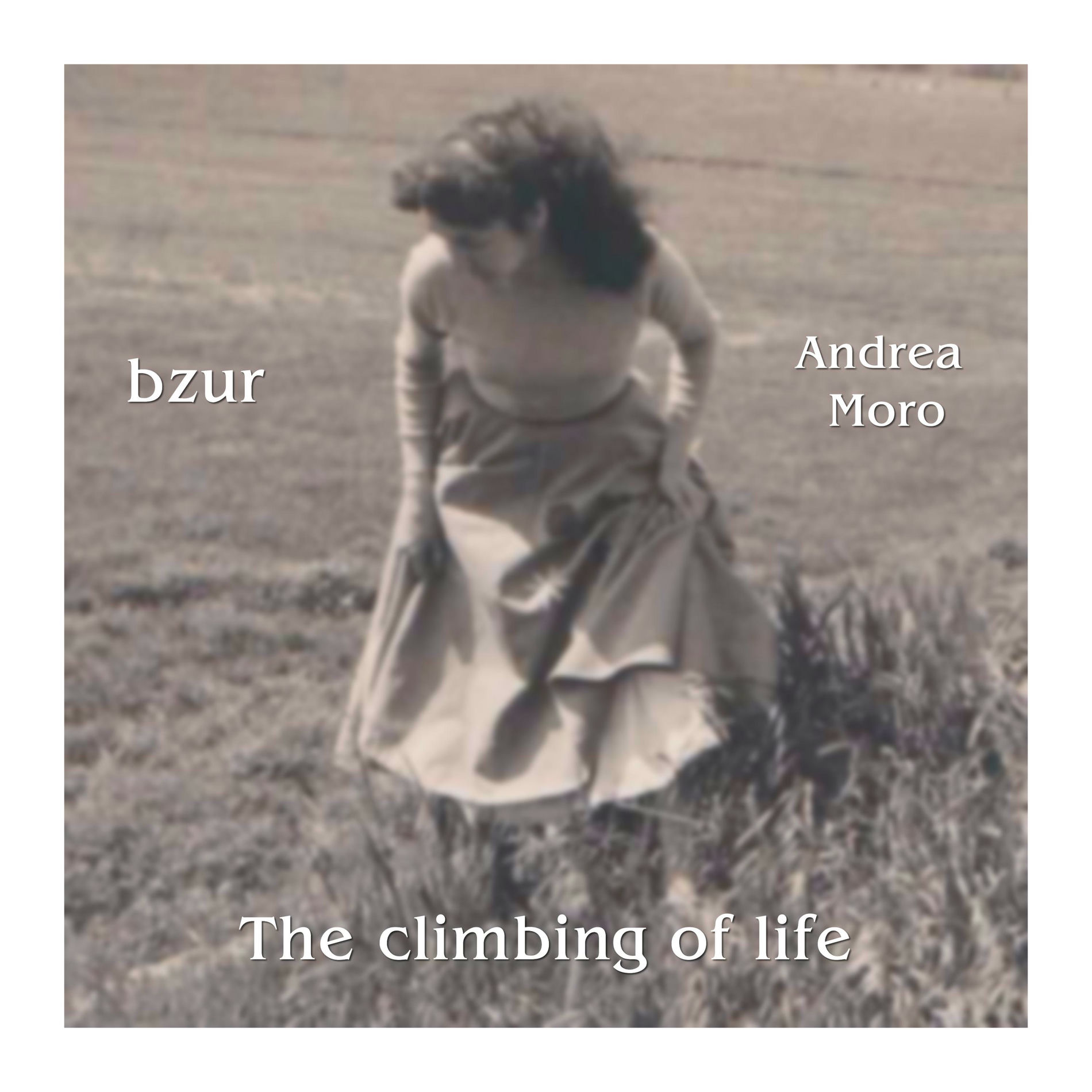Album cover of A Woman's Ghost