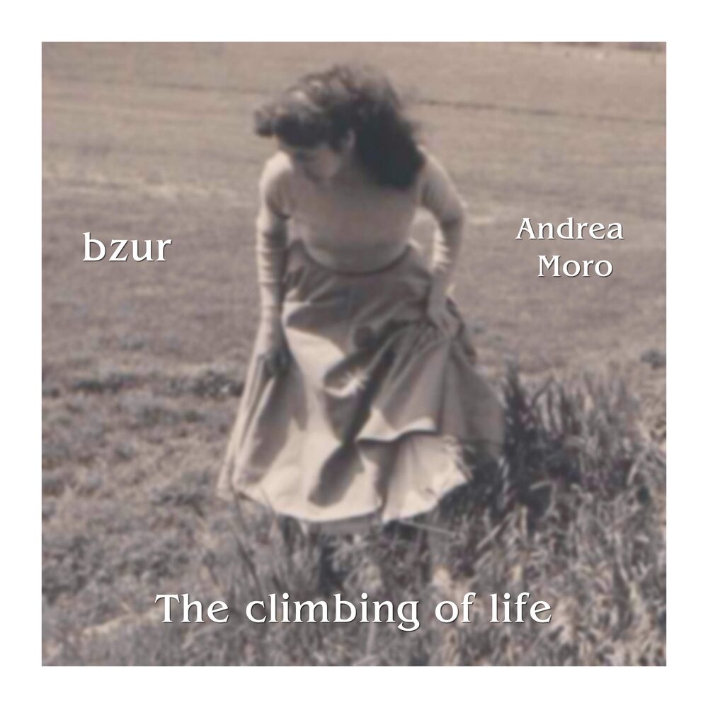 Picture of The Climbing of Life