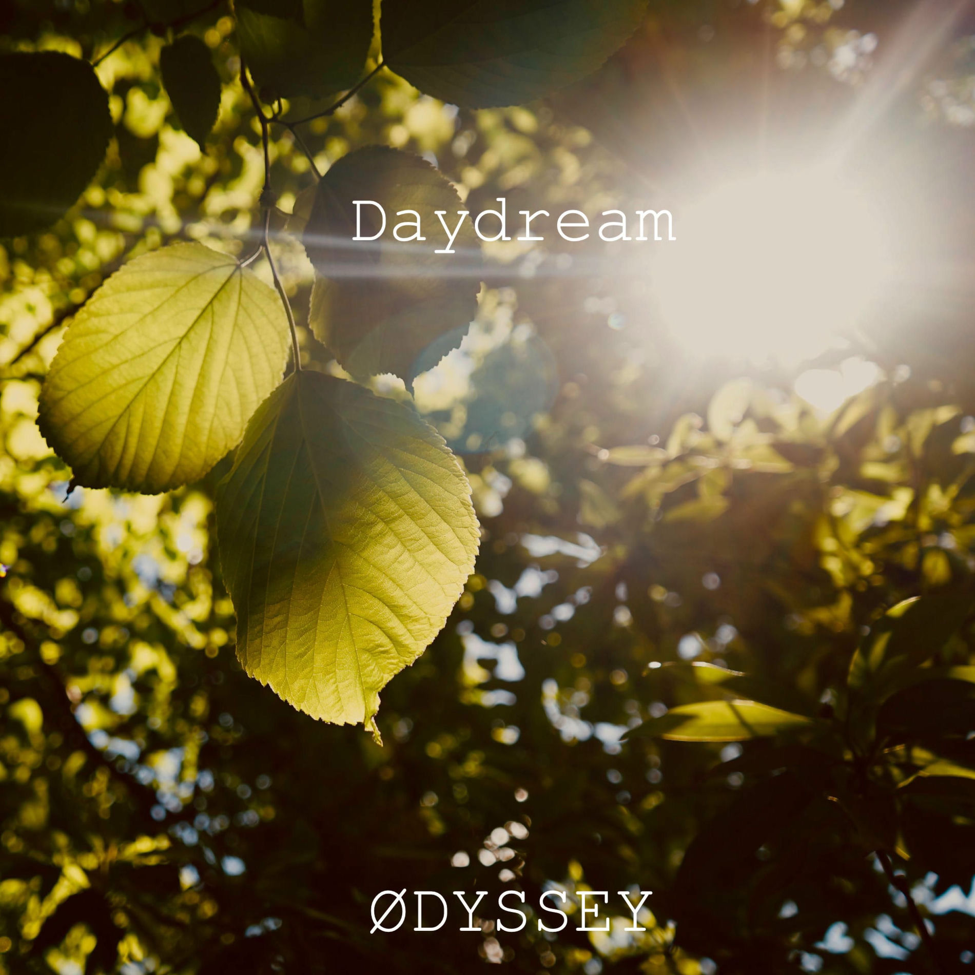 Album cover of Daydream