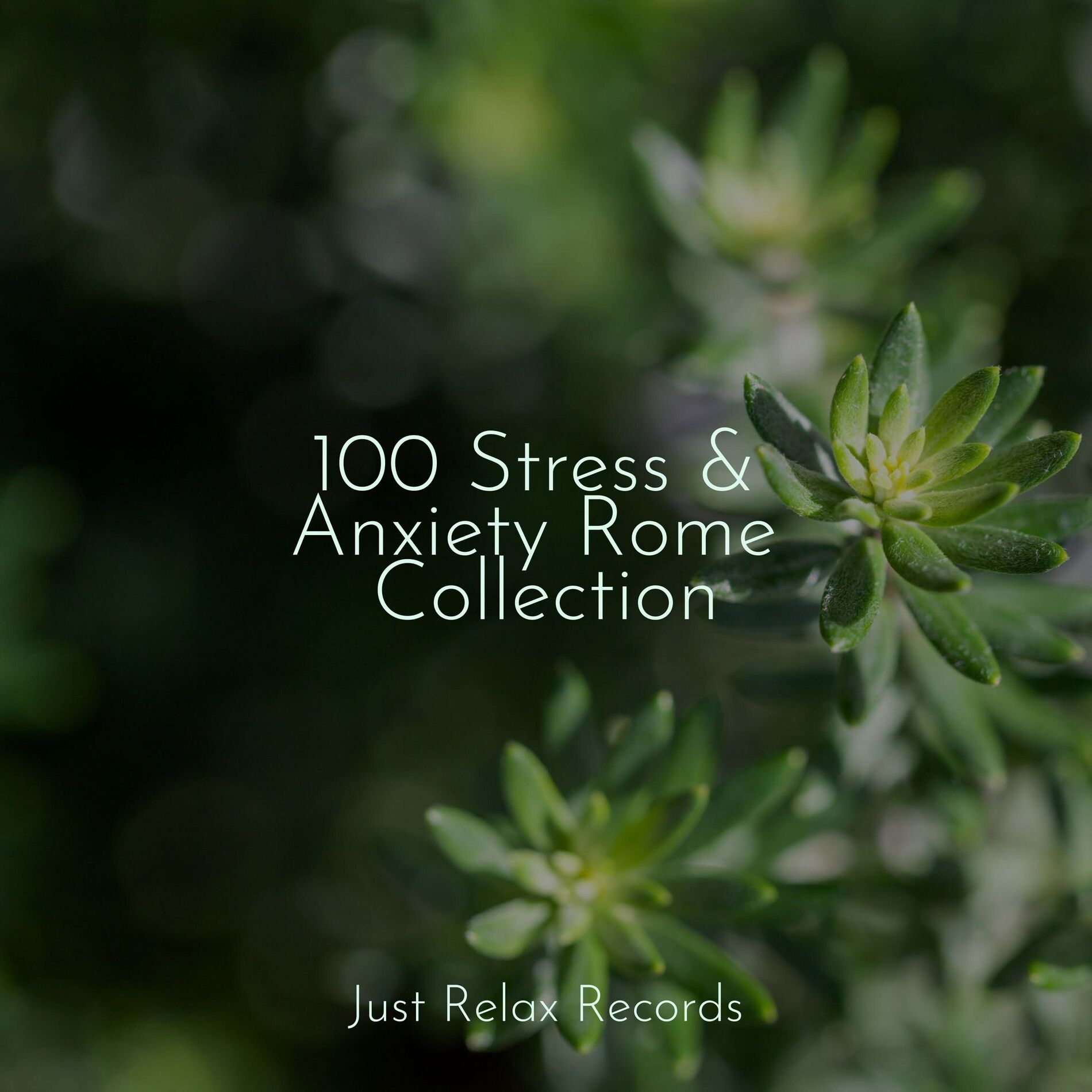 Album cover of 100 Stress & Anxiety Rome Collection