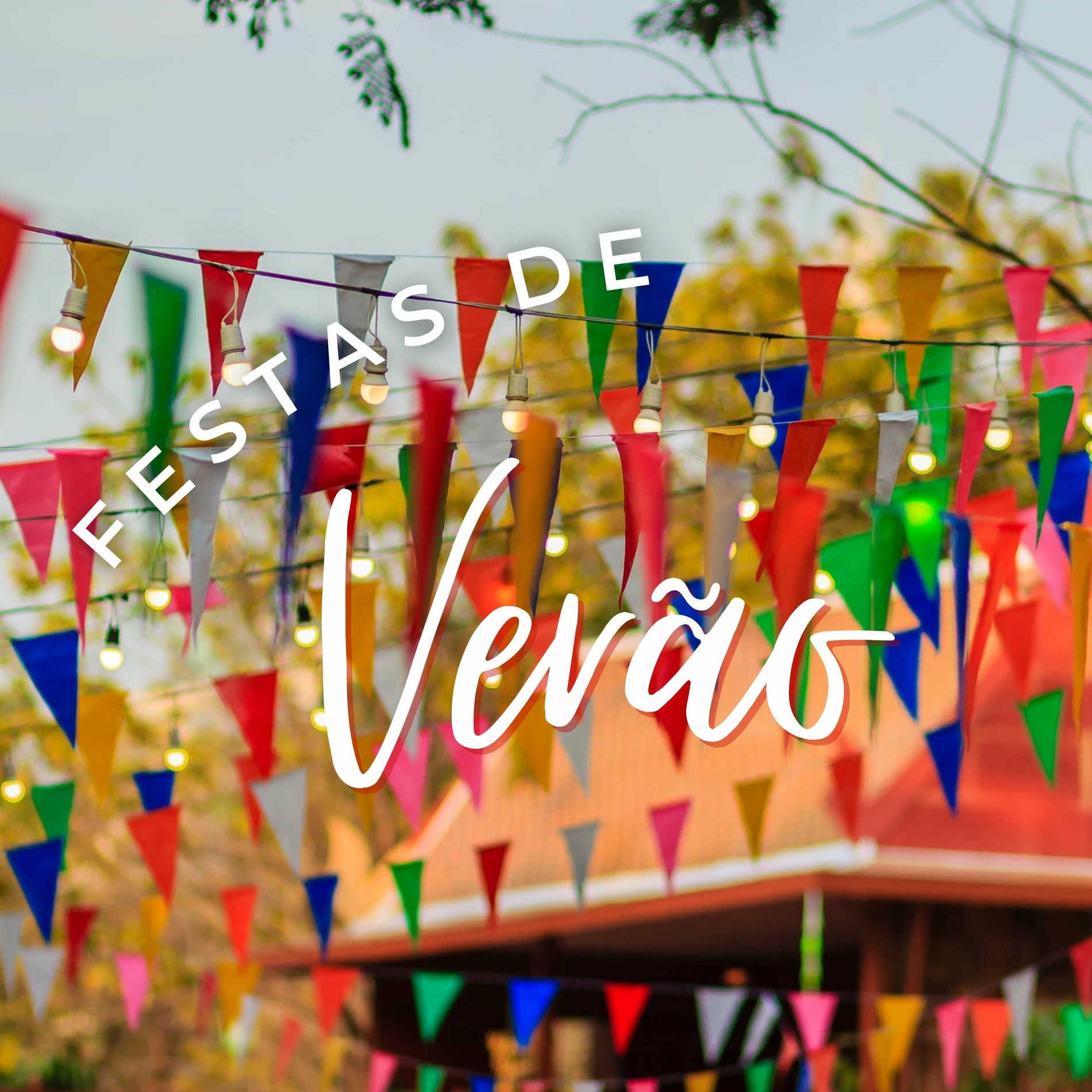 Album cover of Festas De Verão