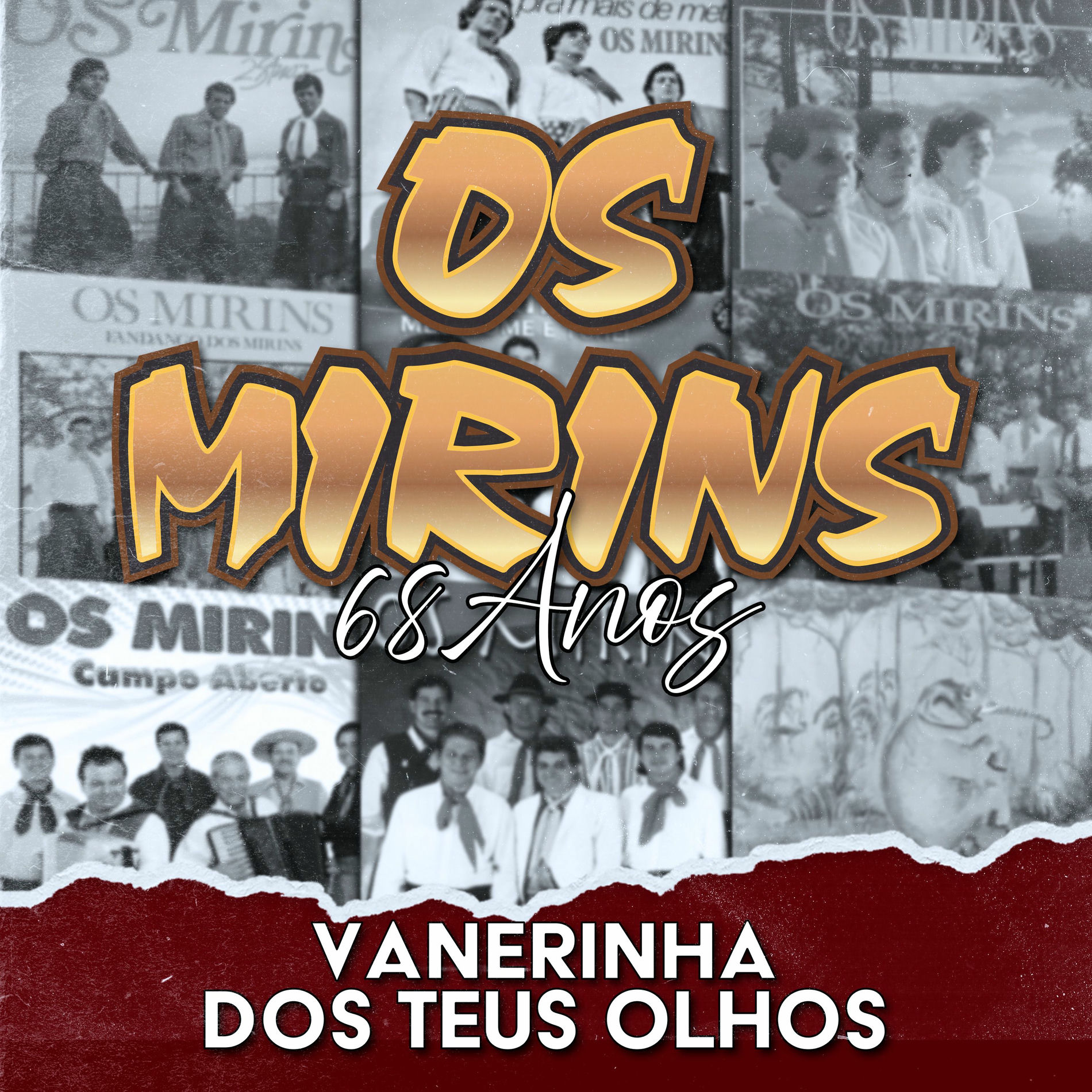 Album cover of Vanerinha dos Teus Olhos (68 Anos)