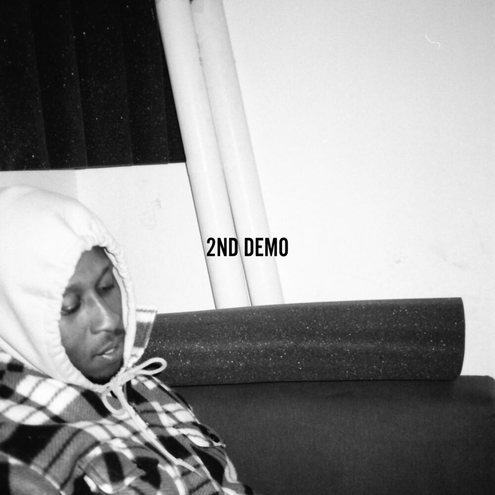 Picture of 2nd demo