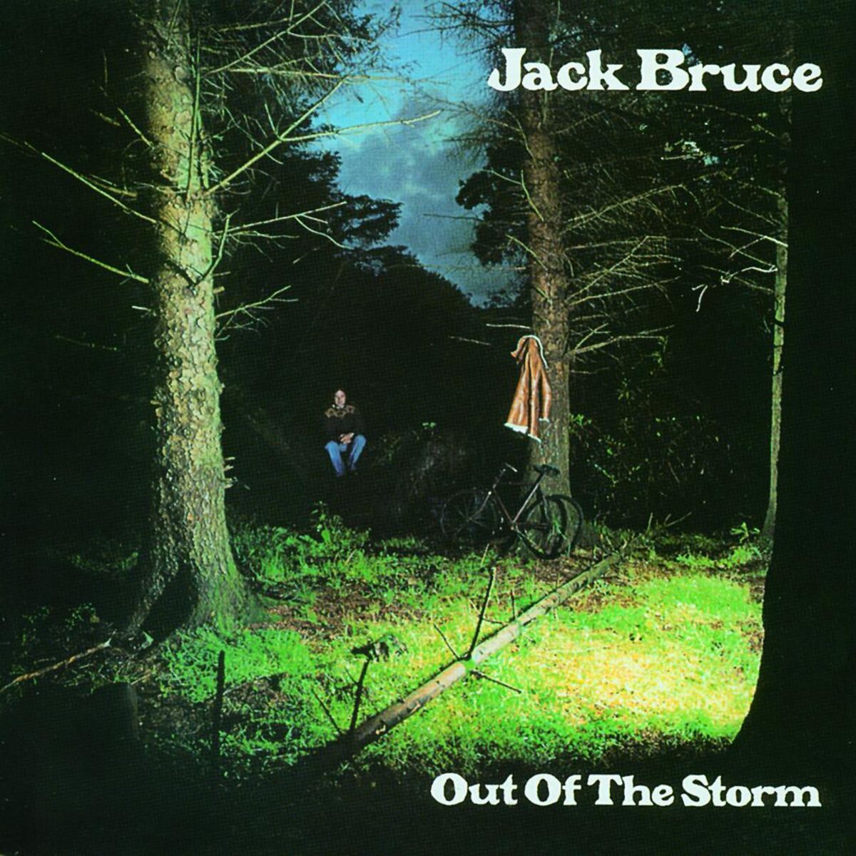 Album cover of Out Of The Storm