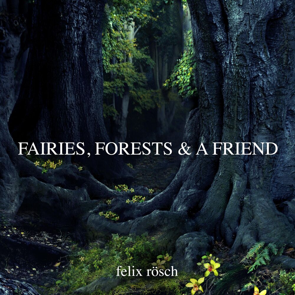 Picture of Fairies, Forests and a Friend