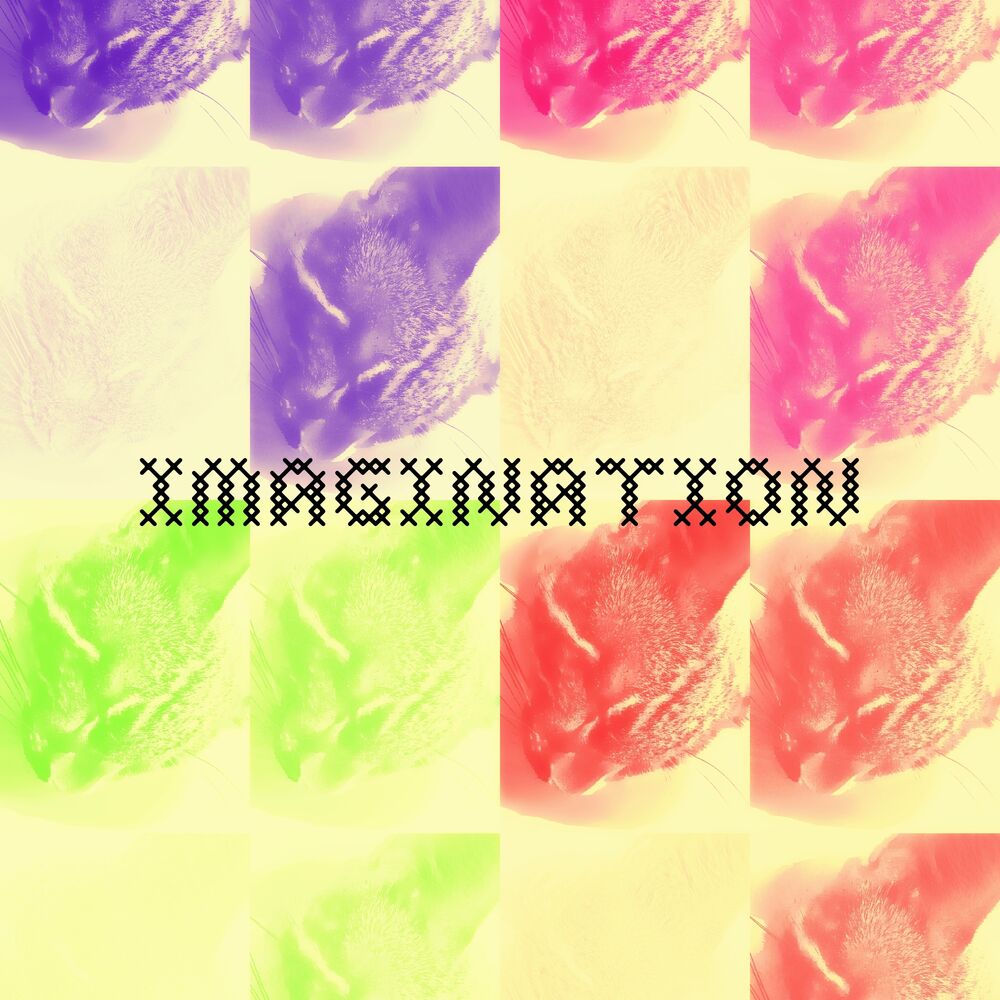 Picture of Imagination
