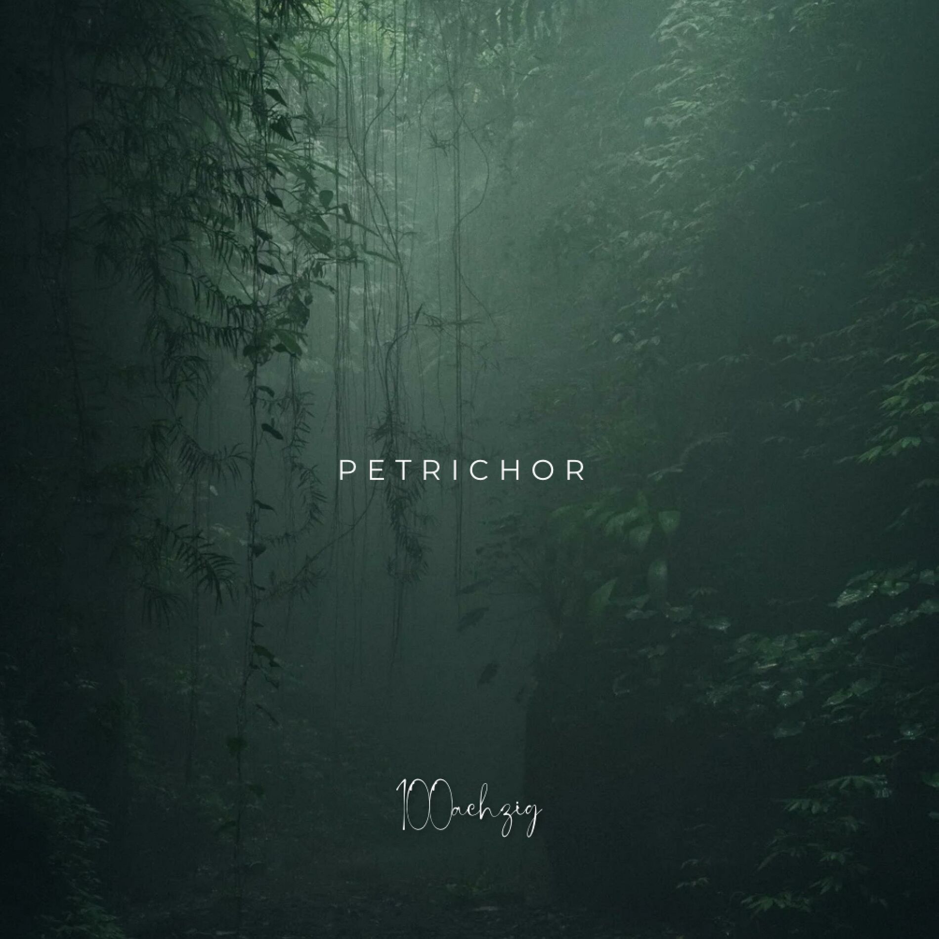 Album cover of Petrichor (feat. Tuna)