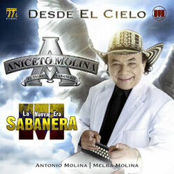 Cover of Desde el Cielo