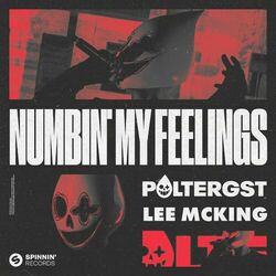 Cover of Numbin' My Feelings