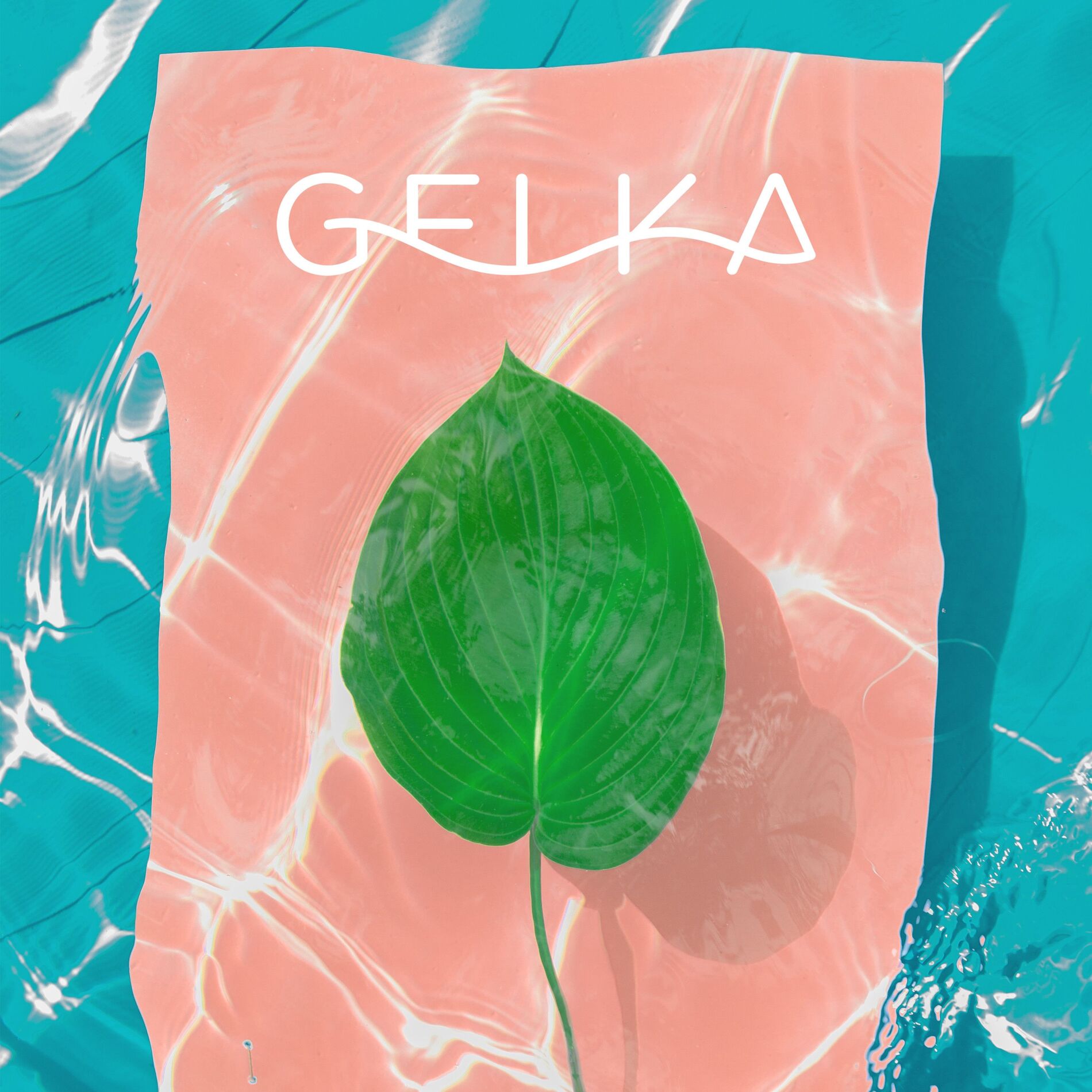Album cover of Connection