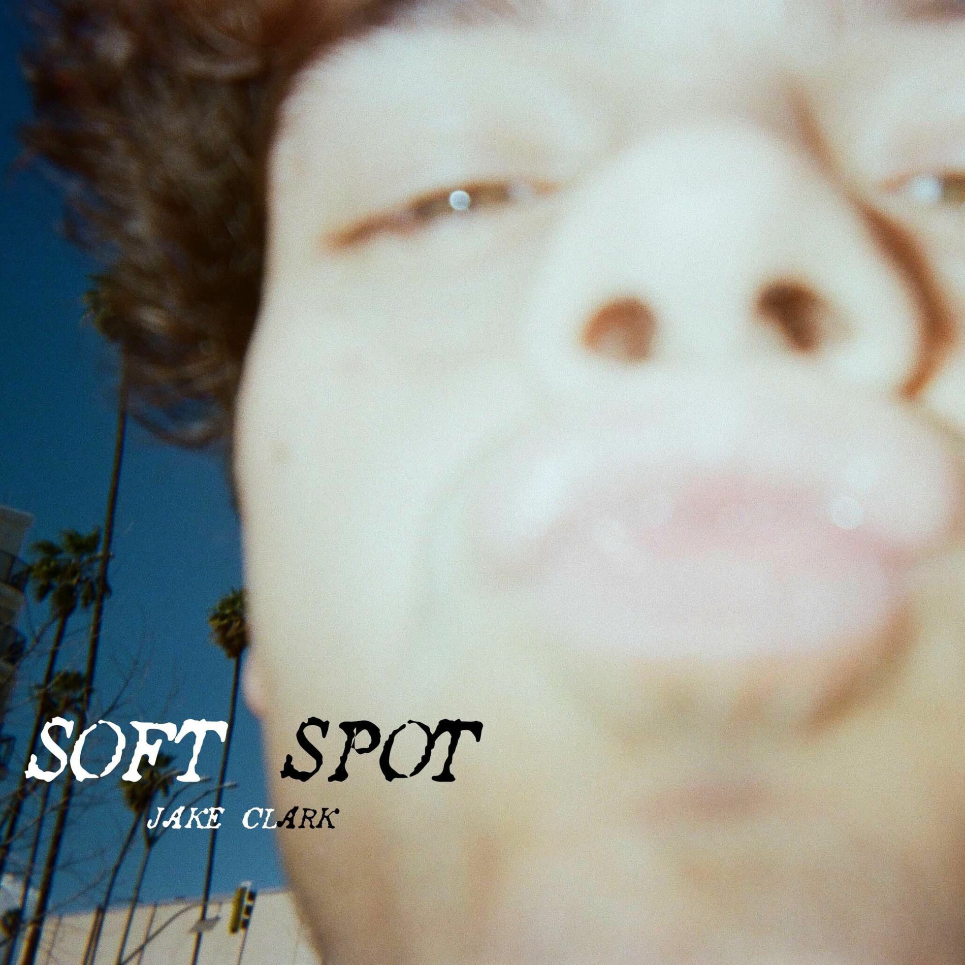 Album cover of soft spot