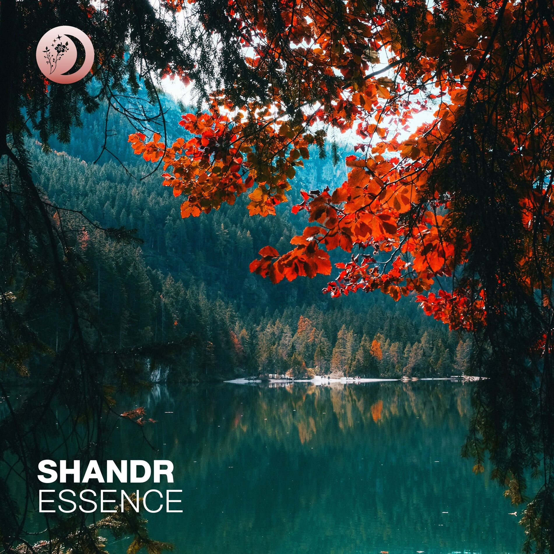 Album cover of Essence