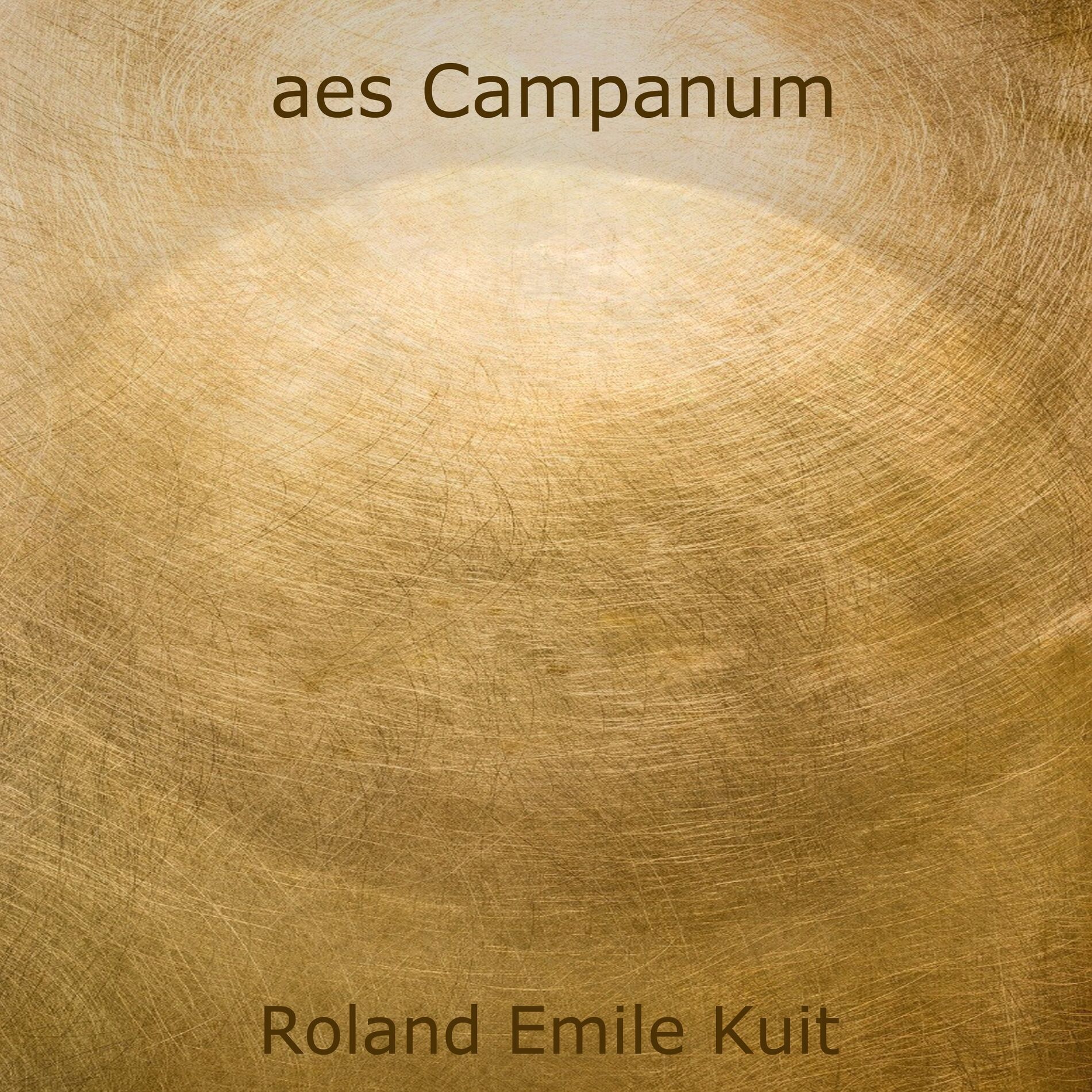 Album cover of aes Campanum