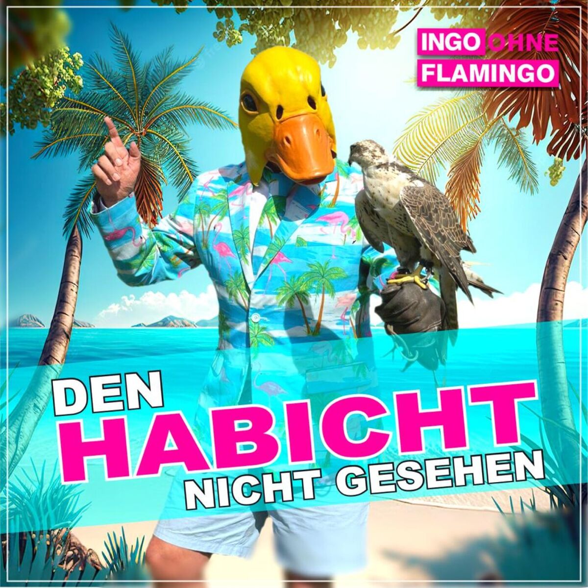 Album cover of Den Habicht nicht gesehen