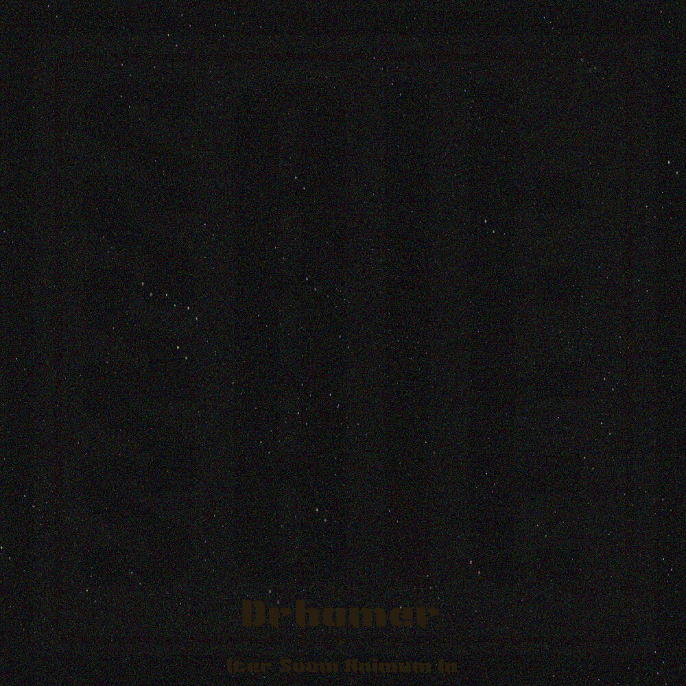 Picture of Iter Suum Animum In