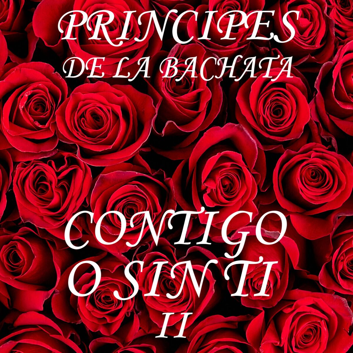 Album cover of Con Tigo o Sin Ti II