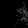 Ahhh by Baile album cover