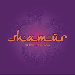 Cover of Let The Music Play