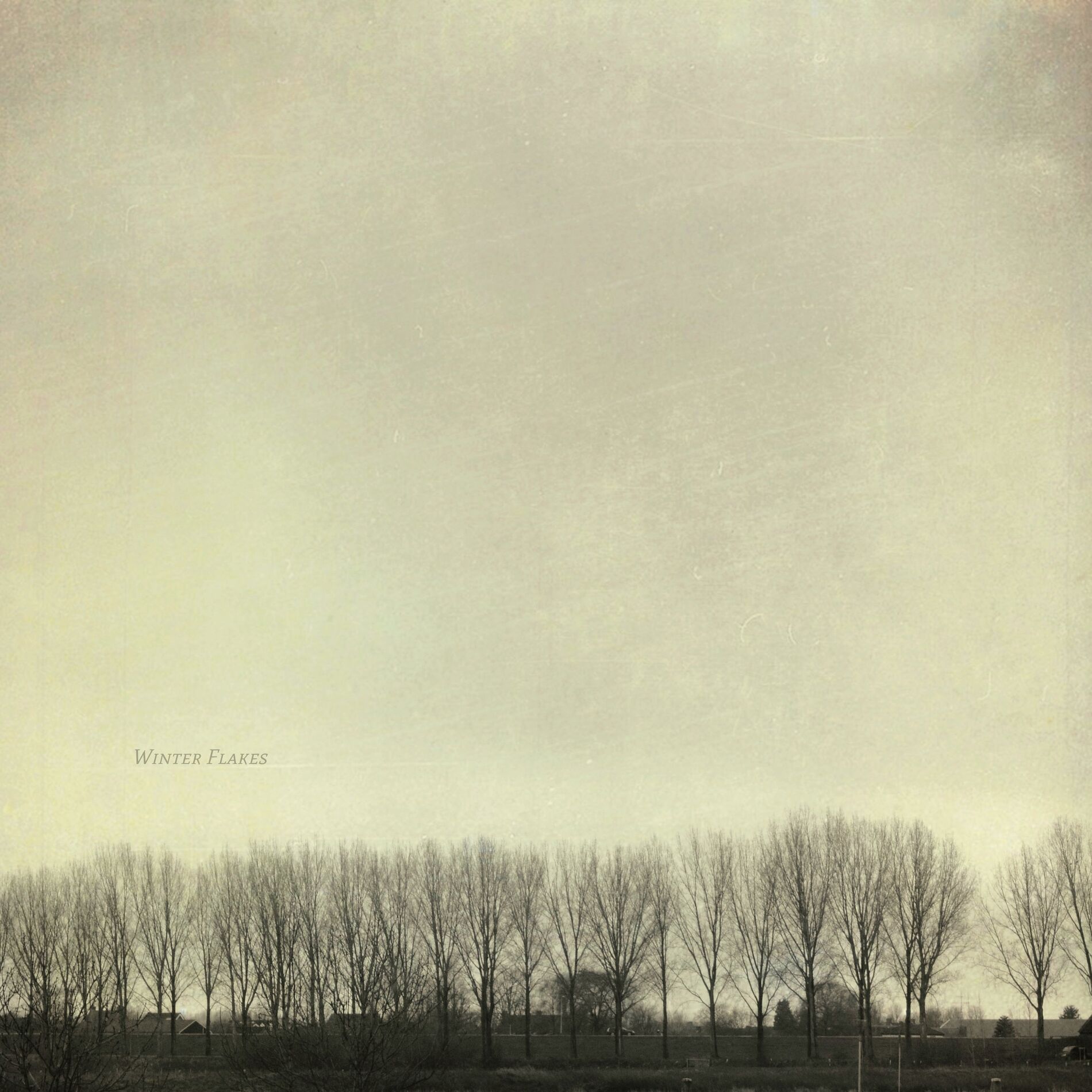 Album cover of Winter Flakes