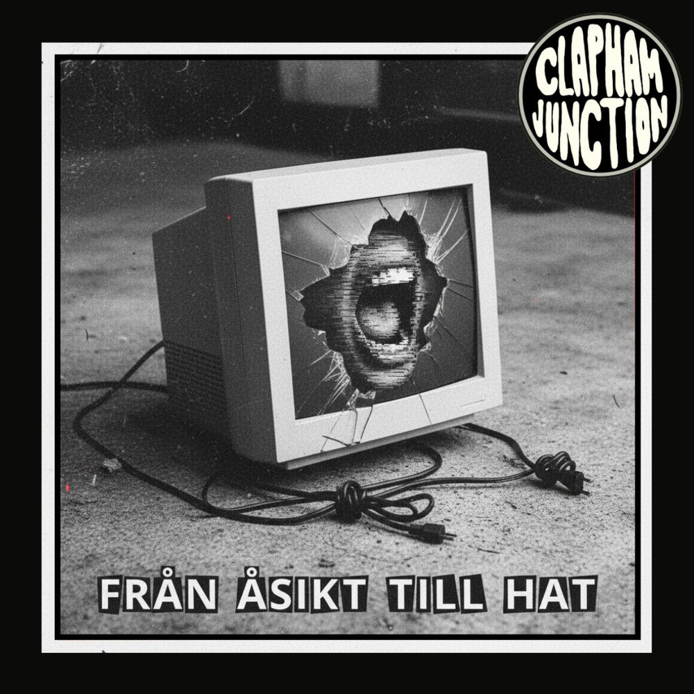 Från åsikt till hat artwork