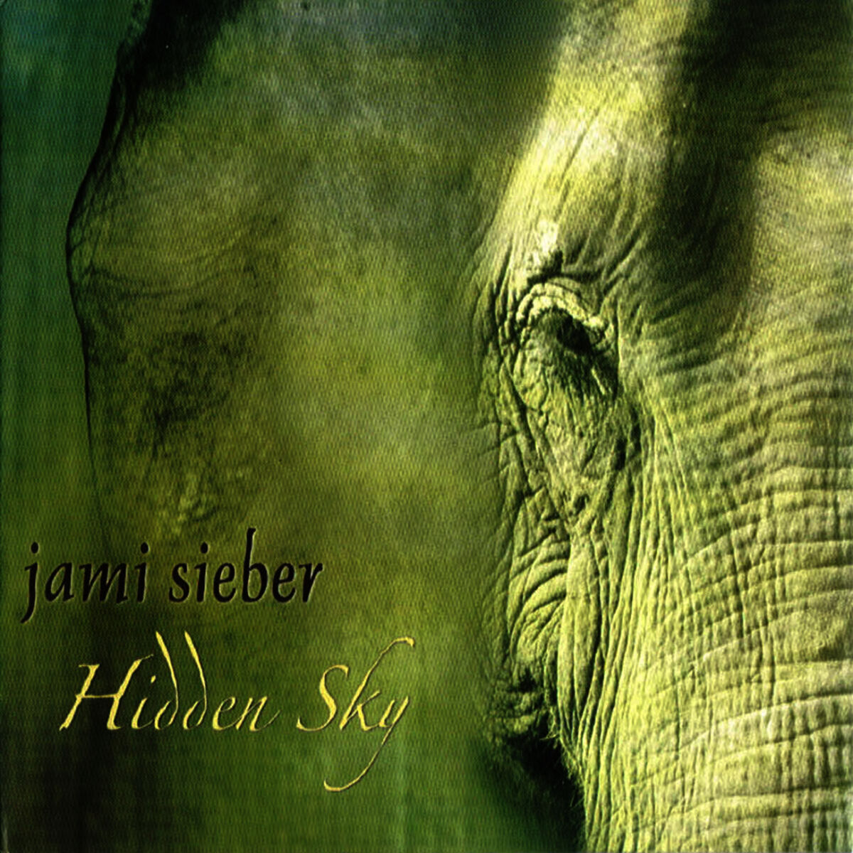 Album cover of Hidden Sky