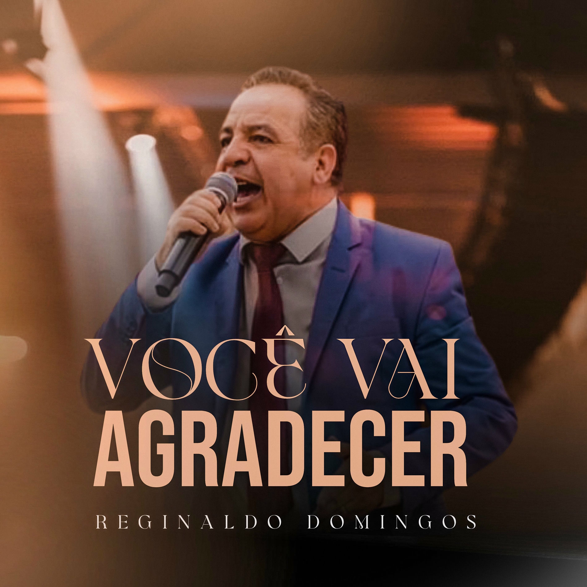 Album cover of Você Vai Agradecer