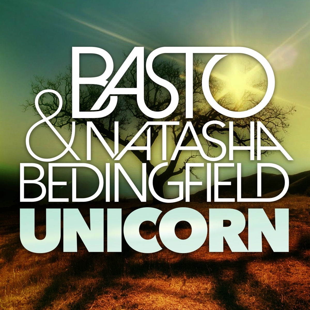 Album cover of Unicorn