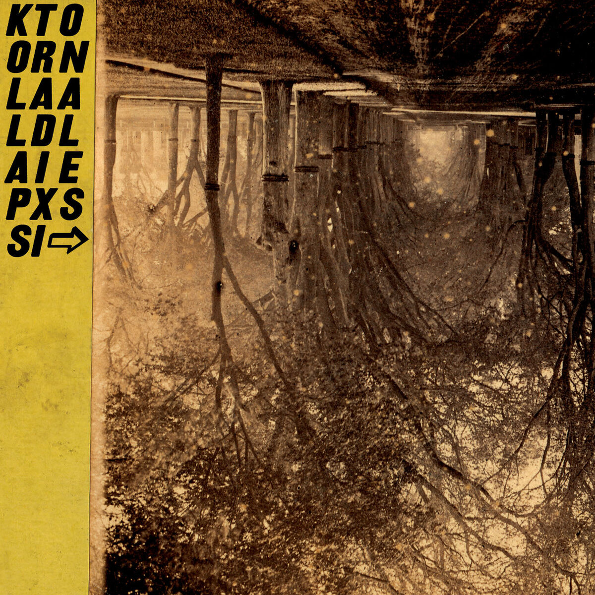 Album cover of Kollaps Tradicional (Bury 3 Dynamos)
